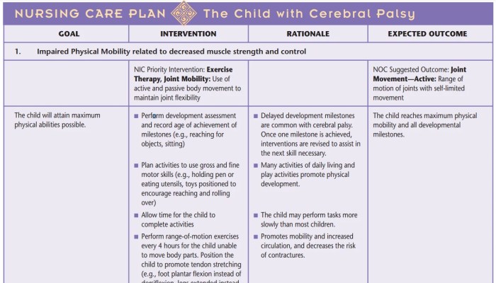 Nursing Care Plan for the Child with Cerebral Palsy - Free PDF